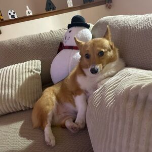 Trade with friend 🎉🤎